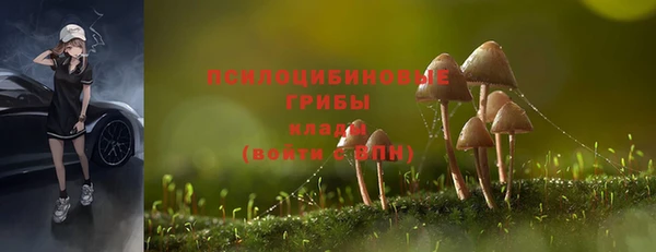 a pvp Балахна
