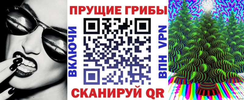 Псилоцибиновые грибы Psilocybine cubensis  блэк спрут рабочий сайт  Чекалин 